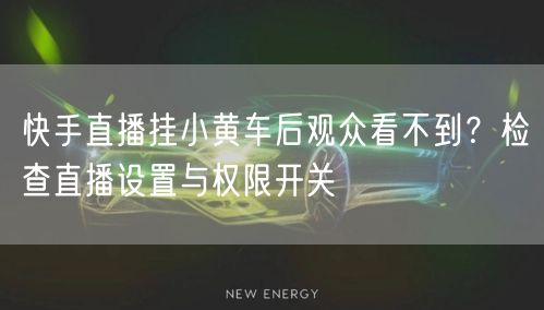 快手直播挂小黄车后观众看不到？检查直播设置与权限开关