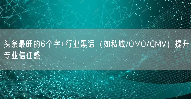 头条最旺的6个字+行业黑话（如私域/OMO/GMV）提升专业信任感