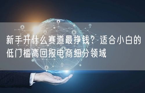 新手开什么赛道最挣钱？适合小白的低门槛高回报电商细分领域
