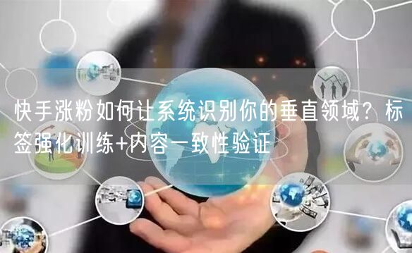 快手涨粉如何让系统识别你的垂直领域？标签强化训练+内容一致性验证