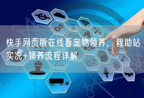 快手网页版在线看宠物领养，救助站实况+领养流程详解