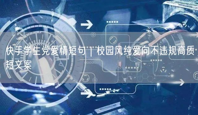 快手学生党爱情短句｜校园风纯爱向不违规高质短文案