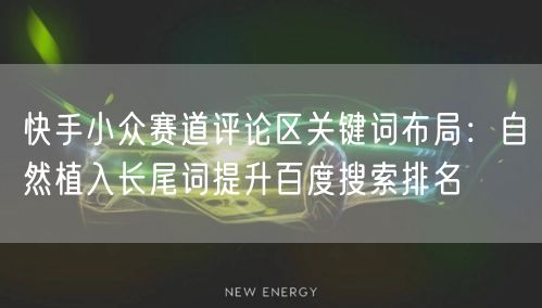 快手小众赛道评论区关键词布局：自然植入长尾词提升百度搜索排名